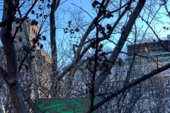 Washington Square Park