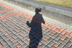 Running with my Shadow