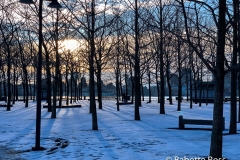 Pink Skies and Morning Snow