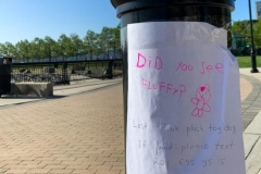 Fluffy Has Gone Missing