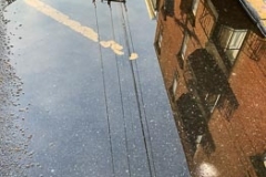 Reflection