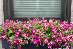 Happy Flower Box