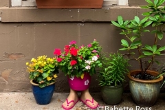 Planter