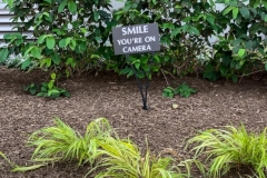 Smile You're On Camera