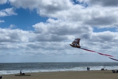 "..there's a kite out of control on the breeze..."