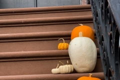 Pumpkin Stairs