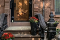 Dappled Sun on the Stoop