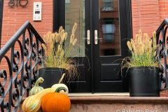 Autumnal Display