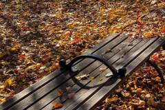 20201114_001