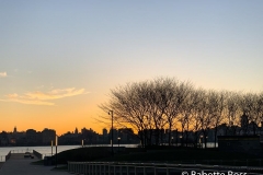 20201203_001