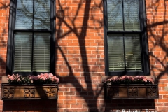 20210312_003