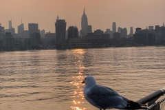 20210721_001