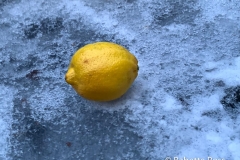 20220124