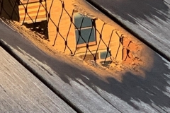 20220818_001