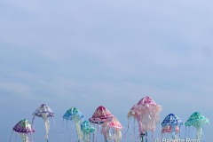 20250914_064