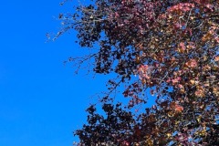 20251128_001