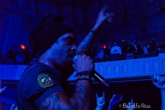 Port Chester 2013-11-15