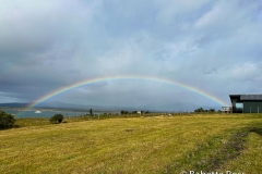 Rainbow Palooza Day 2 -