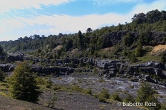 Villarica National Park - Voipir Glacier Mirador Hike - Old Lava Flow -