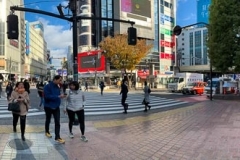 Shibuya Crossing
