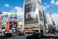 Shibuya Crossing