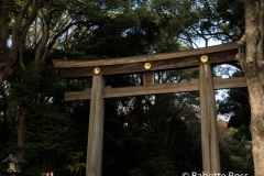 Yoyogi Park, First Torii gate