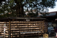 Meiji Jingu
