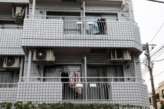 Shimokita