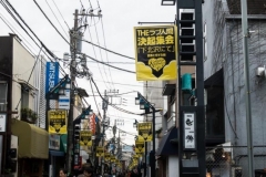 Shimokita