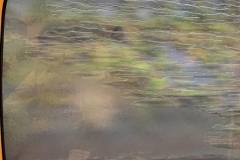 Scene from a Bullet Train in the Rain