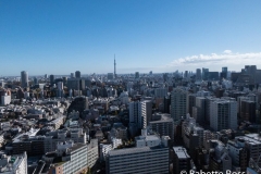 Bunkyo Civic Hall Observatory