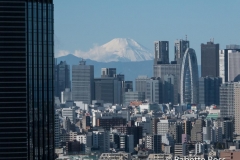 Bunkyo Civic Hall Observatory View of Mt. Fuji