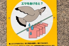 Asakusa