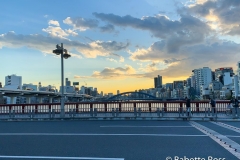 Azuma Bridge