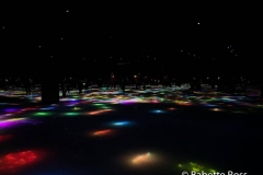 Drawing on the Water Surface Created by the Dance of Koi and People - Infinity, TeamLab Planets