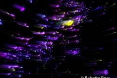 Floating in the Falling Universe of Flowers, TeamLab Planets