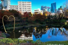 Mohri Garden