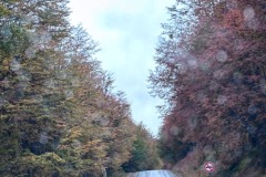 20250416_086