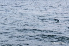 20250416_238-Edit