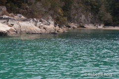Kaiteriteri