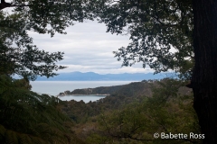 Hiking Torrent Bay to Bark Bay