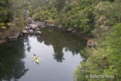 Hiking Torrent Bay to Bark Bay