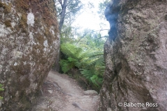 Hiking Torrent Bay to Bark Bay