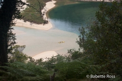 Hiking Torrent Bay to Bark Bay