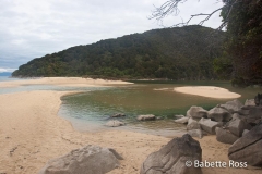Hiking Torrent Bay to Bark Bay