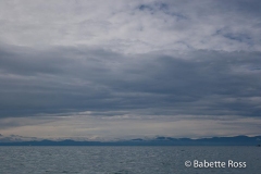 Kayaking, Marahau