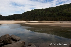 Onetahuti to Bark Bay Hike