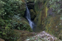 Onetahuti to Bark Bay Hike