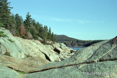 Blackwoods