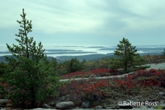 Cadillac Mountain